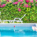 bedpool or daybed and Swimming pool