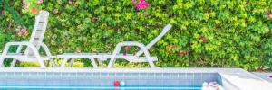 bedpool or daybed and Swimming pool