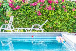 bedpool or daybed and Swimming pool