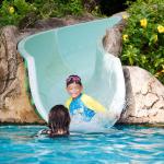 waterslide in backyard pool