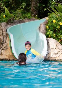 waterslide in backyard pool