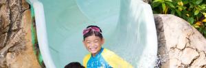 waterslide in backyard pool