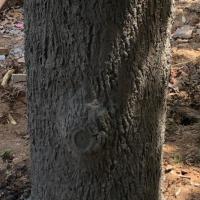 Blue Water Custom Pools Slide Supports